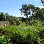 Bienvenue dans mon jardin