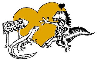 illustration Corridor écologique