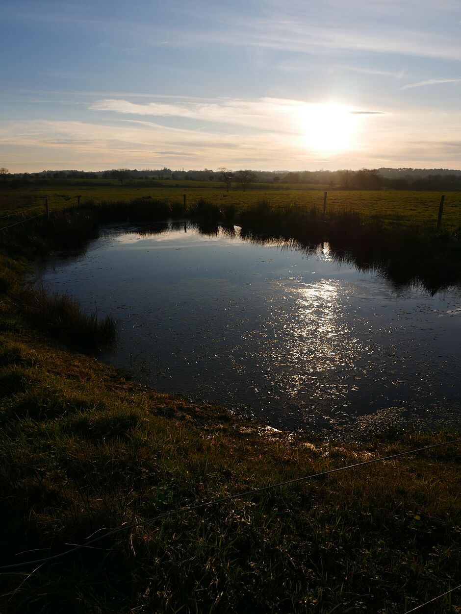 Mare sur la commune de Férel